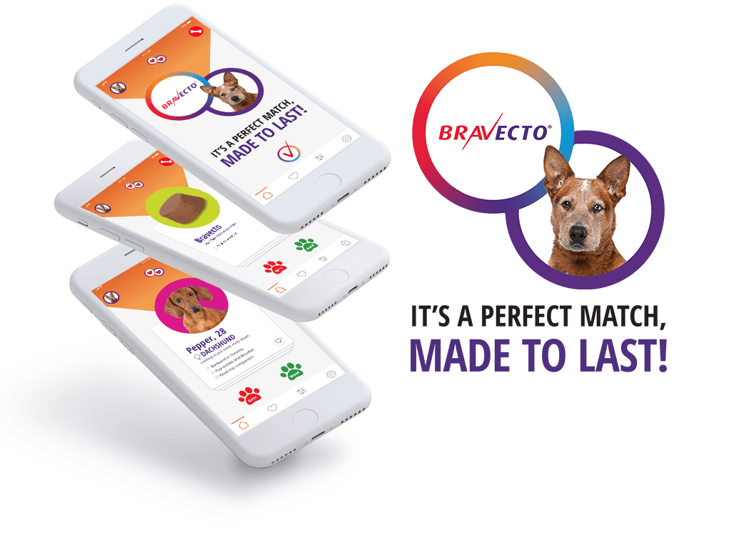 Bravecto. It's a Perfect Match made to last.