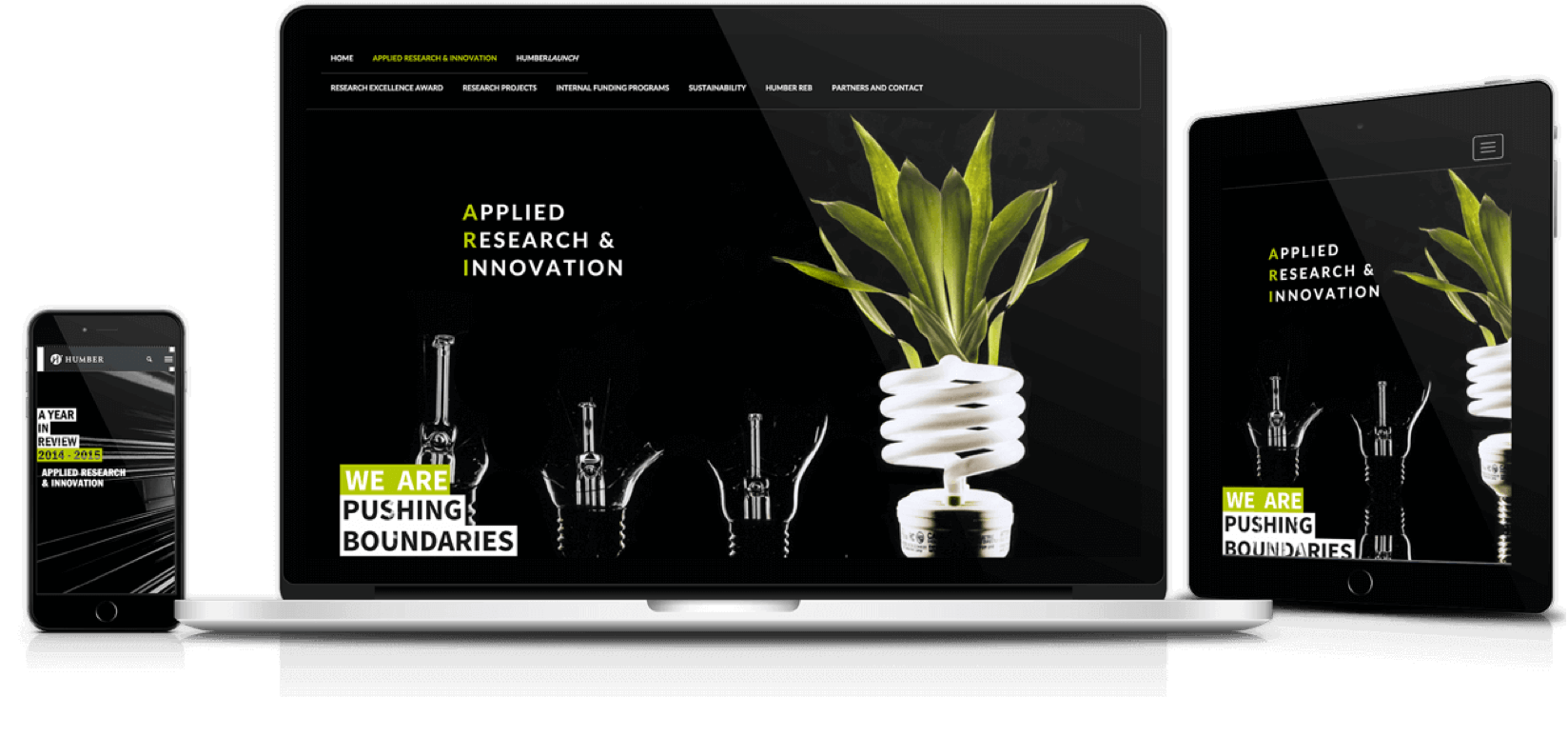 ARI annual report responsive website