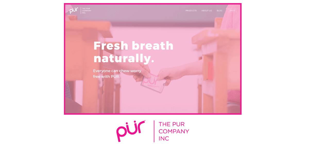 new pur company website